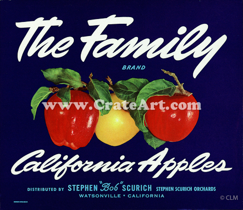 THE FAMILY (A)