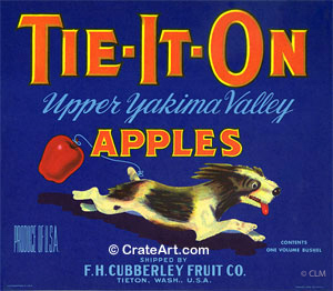 TIE-IT-ON (A) #1