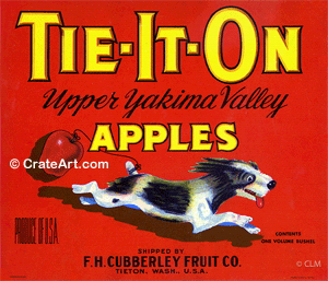 TIE-IT-ON (A) #2