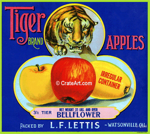 TIGER BRAND (A) #1