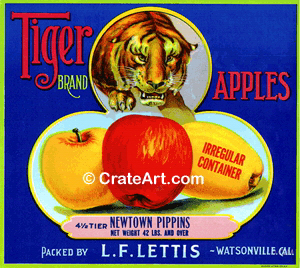 TIGER BRAND (A) #3