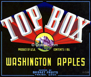 TOP BOX (A)