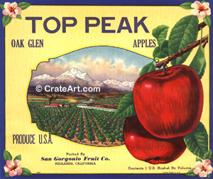 TOP PEAK (A) #1