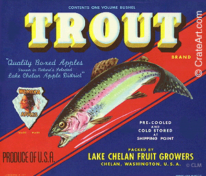 TROUT (A) #2
