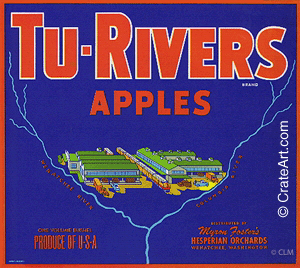 TU-RIVERS (A) #1