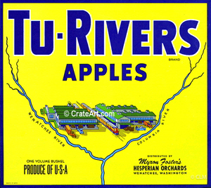 TU-RIVERS (A) #2
