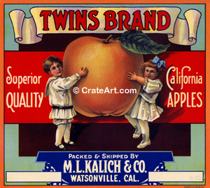 TWINS BRAND (A)