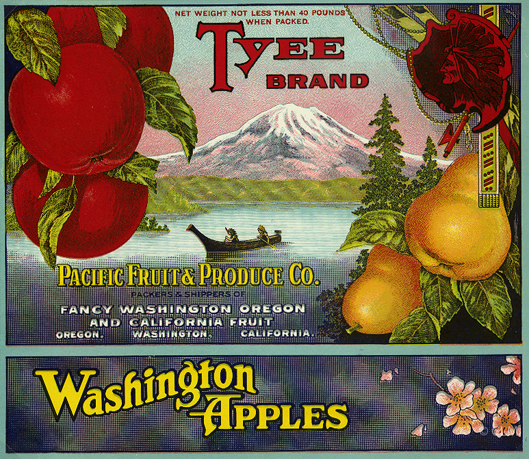TYEE (A) #1