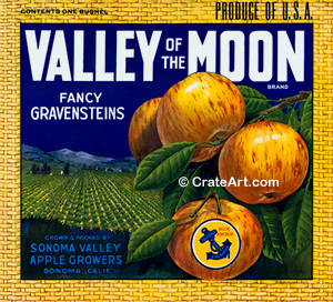 VALLEY OF THE MOON (A)