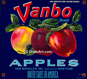 VANBO (A)