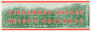 VINCENNES APPLES (A)