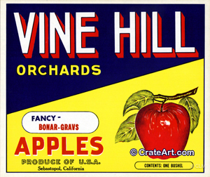 VINE HILL (A) #1