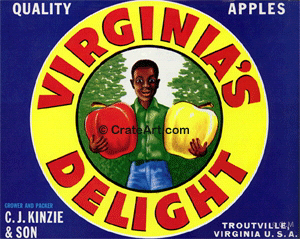 VIRGINIA'S DELIGHT (A)