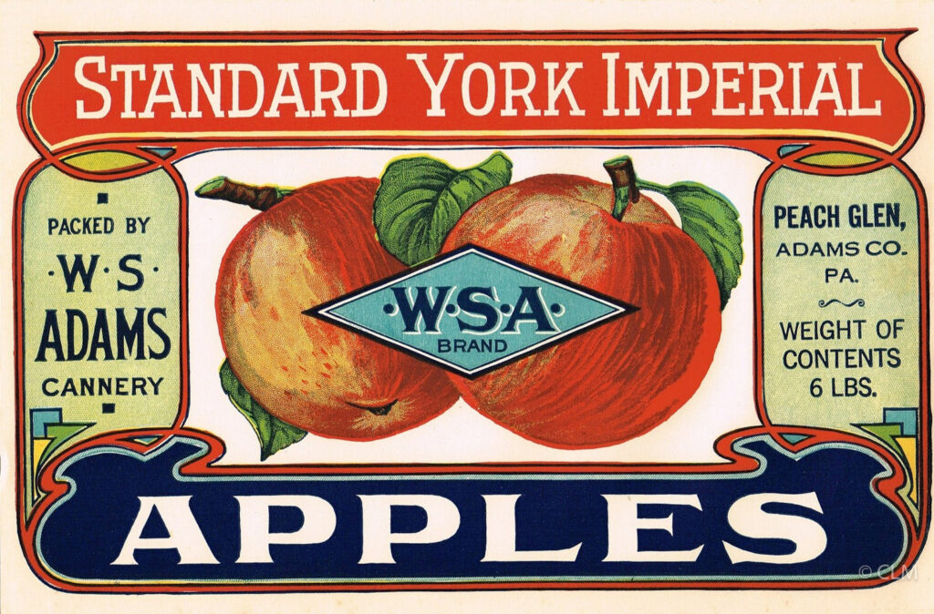 W.S.A. BRAND (A)