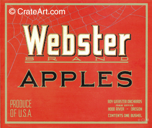WEBSTER (A) #1