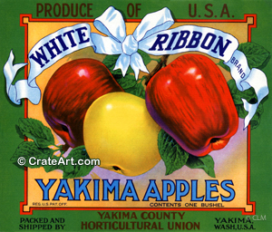 WHITE RIBBON (A)