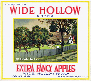 WIDE HOLLOW (A) #1