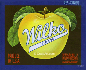 WILKO (A) #1
