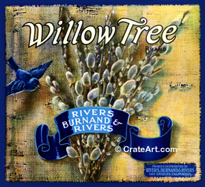 WILLOW TREE (A)