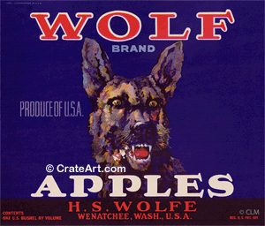 WOLF (A)