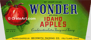 WONDER (A)