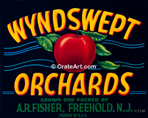 WYNDSWEPT ORCHARDS (A)