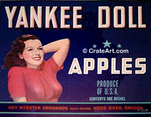 YANKEE DOLL (A)