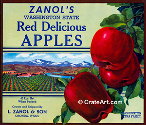 ZANOL'S (A)