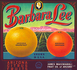 BARBARA LEE (AZ) #1