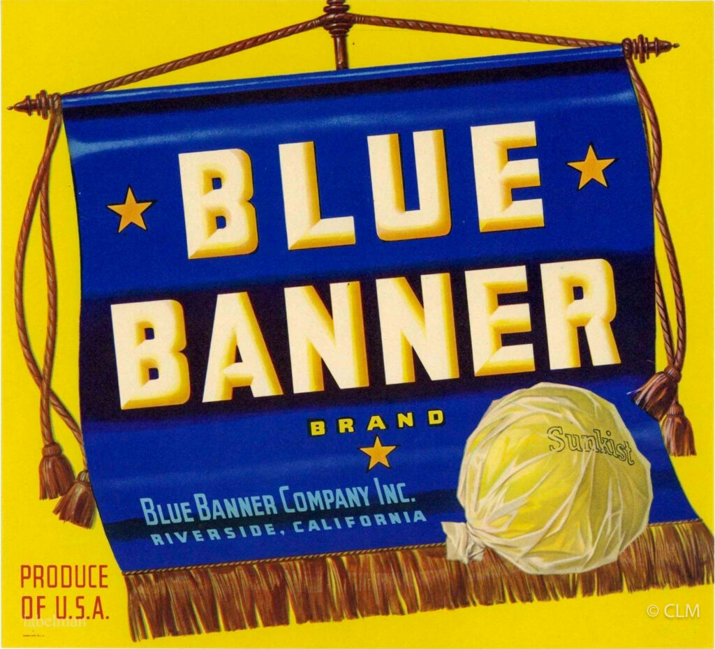 BLUE BANNER (GF)