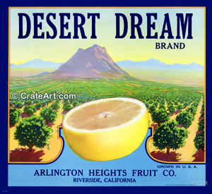DESERT DREAM (GF)