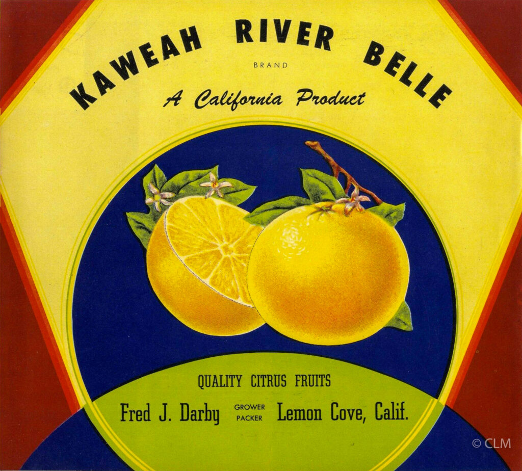 KAWEAH RIVER BELLE (GF)