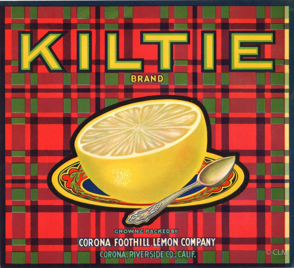 KILTIE (GF)