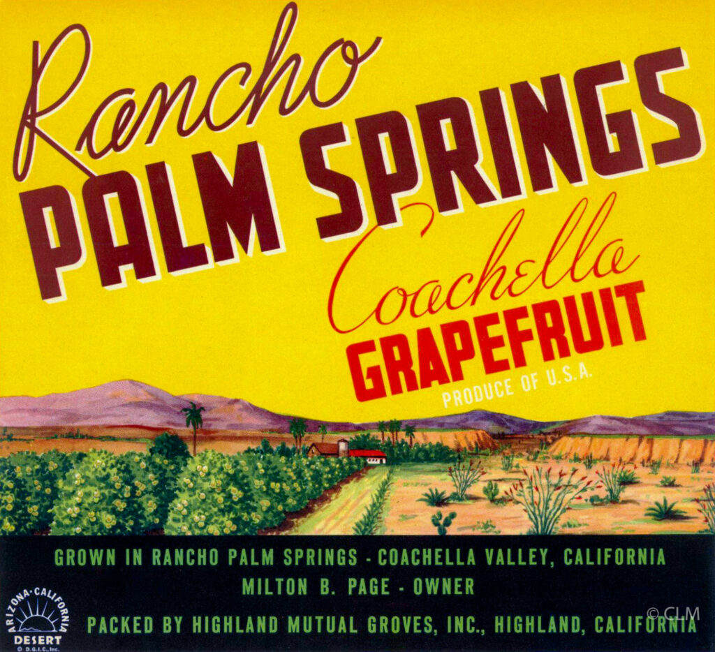 RANCHO PALM SPRINGS (GF)