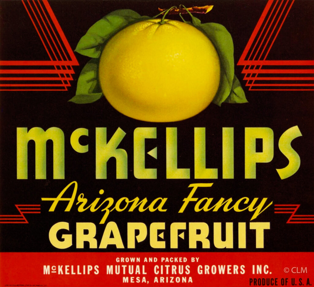 McKELLIPS (AZ)