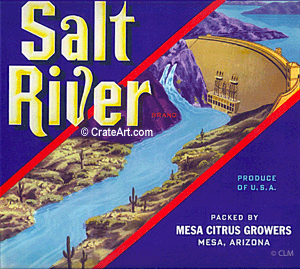 SALT RIVER (AZ)