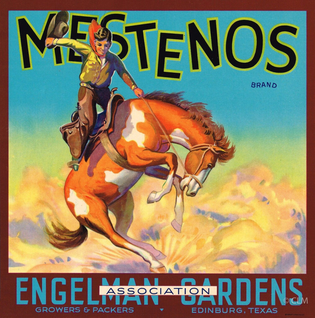 MESTENOS (TX)
