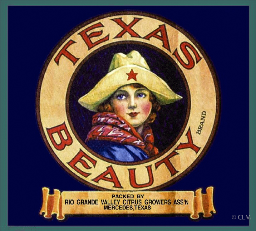 TEXAS BEAUTY (TX)