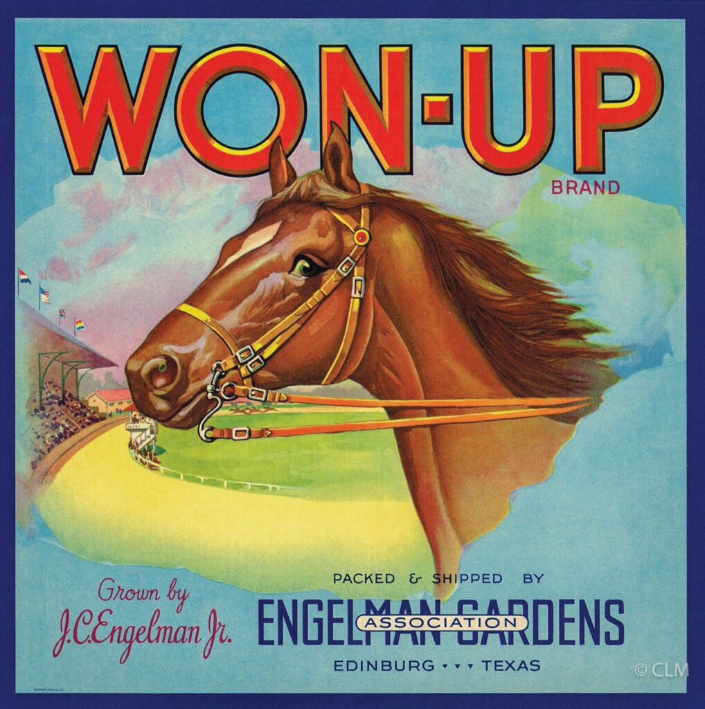 WON-UP (TX)